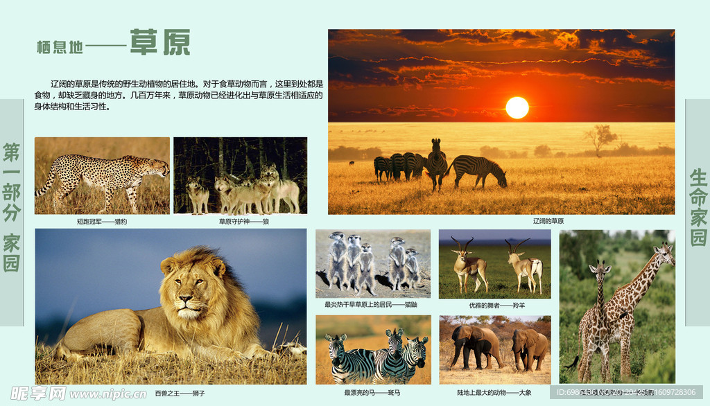学校展板设计