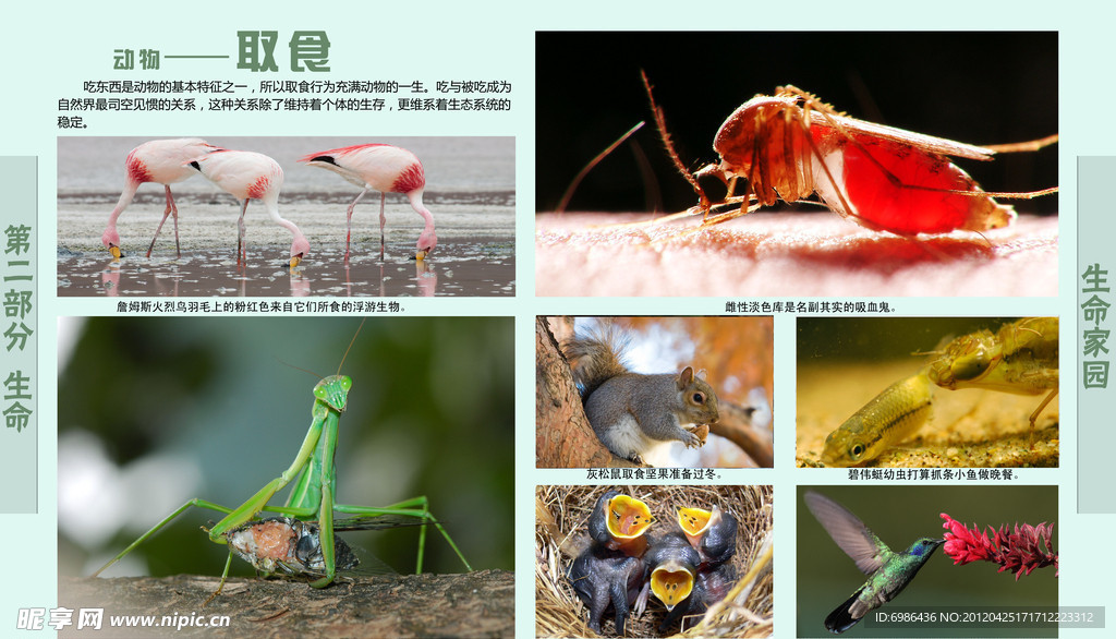 学校展板设计
