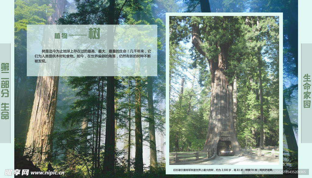学校展板设计