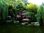水塘