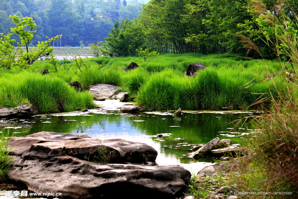 河边风景