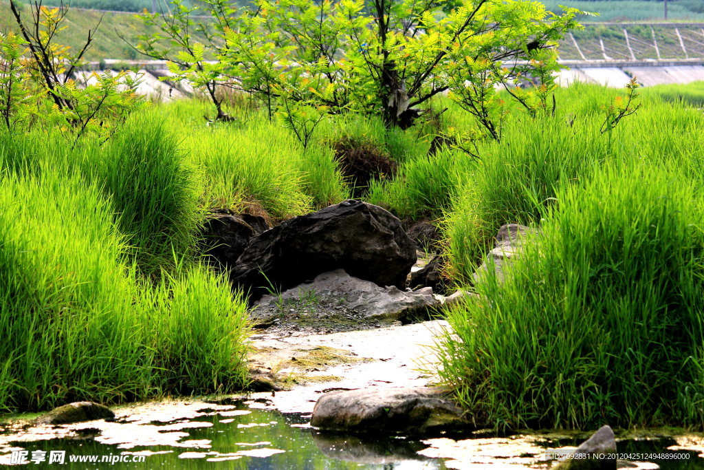 河边风景
