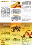 投资三折页
