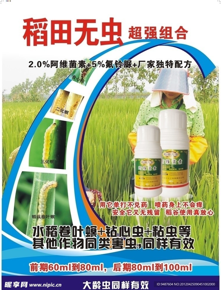 稻田无虫海报