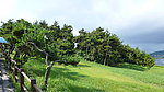 韩国釜山风景