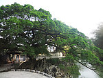 黄姚古镇