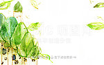 手绘绿叶