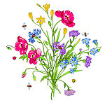 一束花