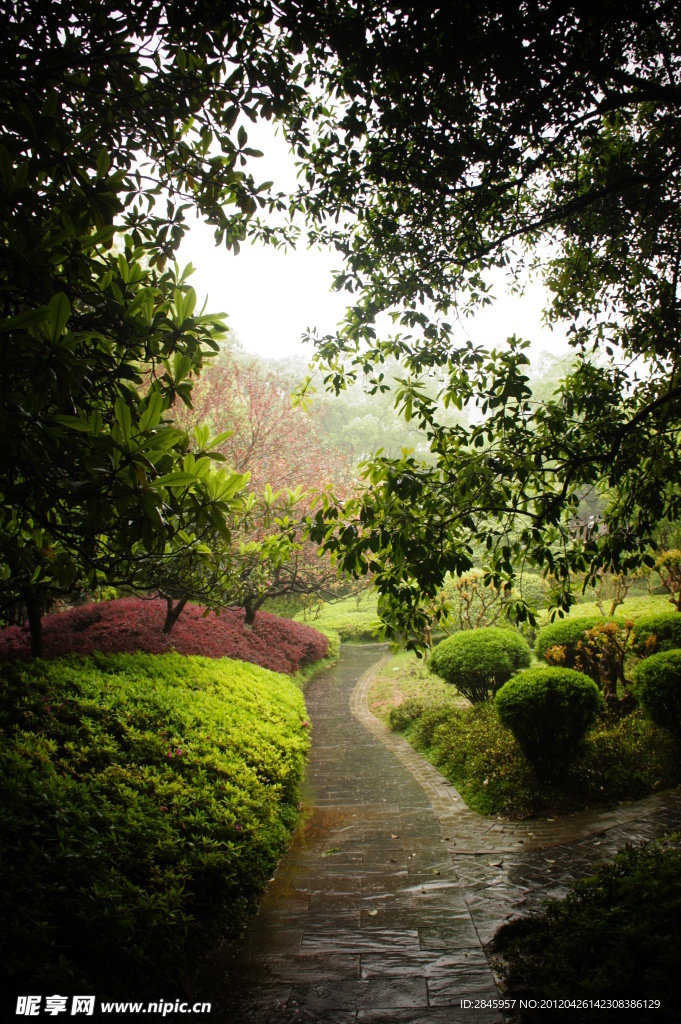 雨后公园