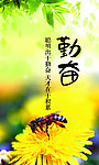 校园文化