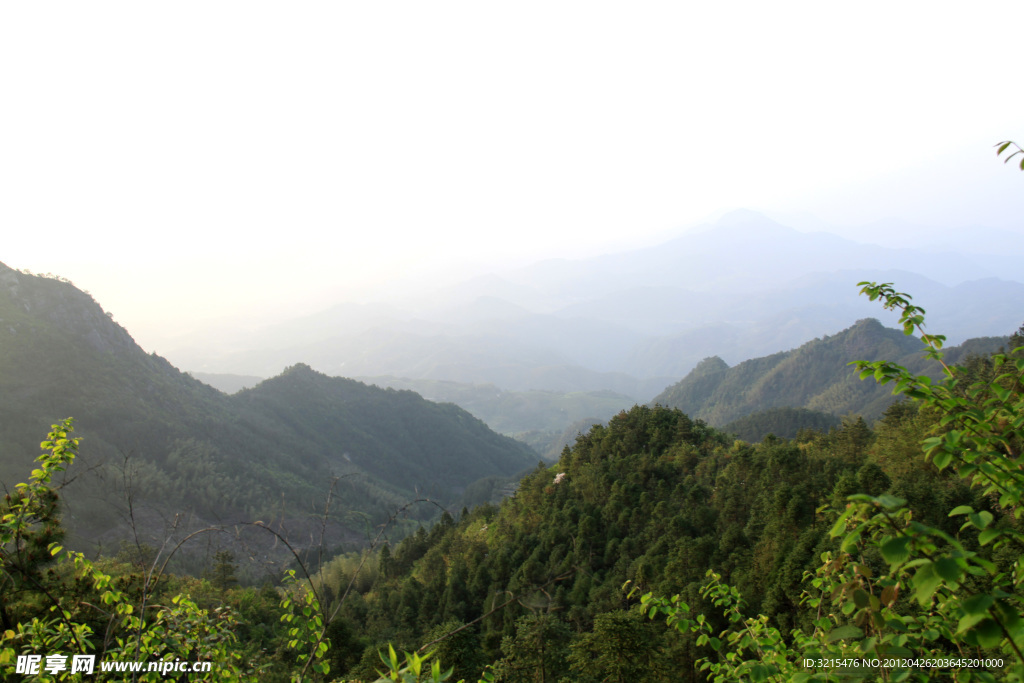 青山