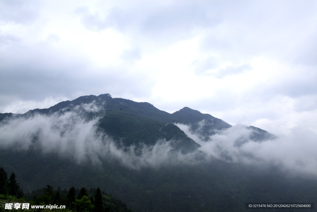青山