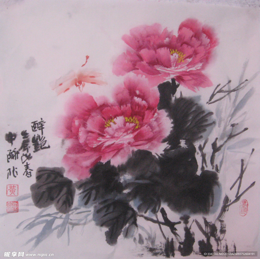 国画 花鸟 牡丹