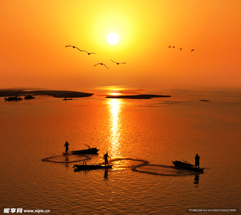 鄱阳湖 候鸟