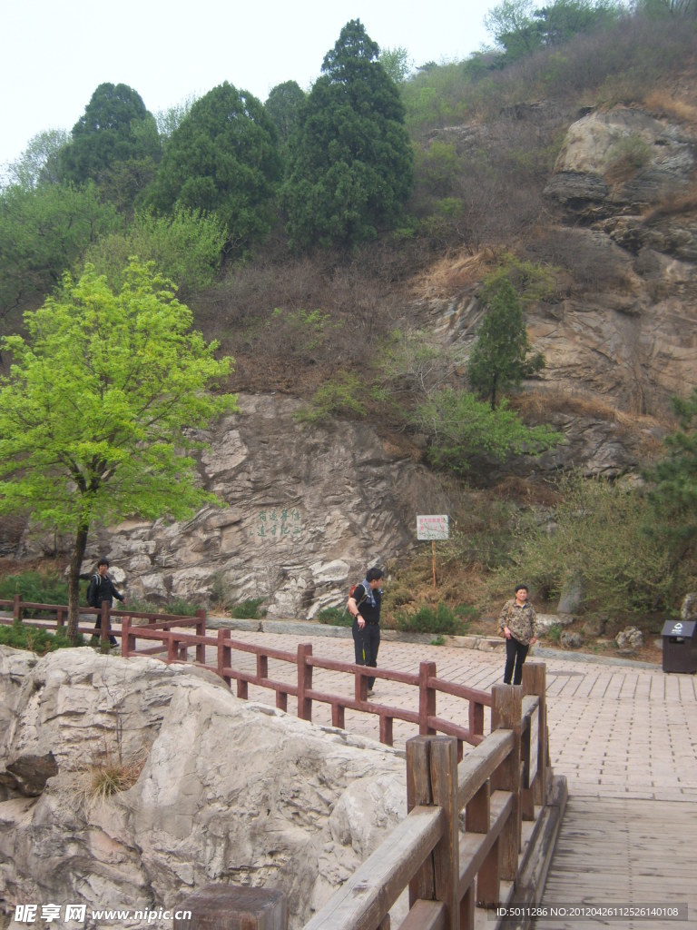 小路 北京植物园