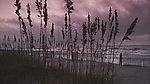 海滩