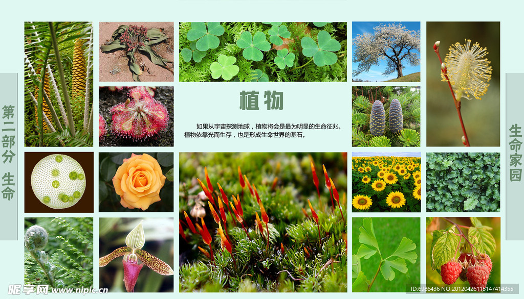 学校展板设计
