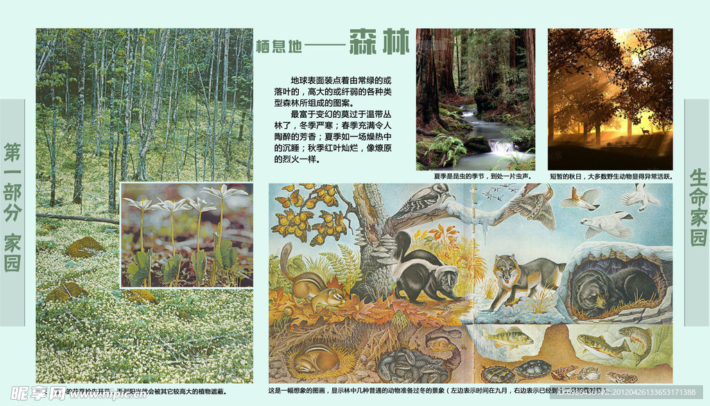 学校展板设计