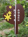 花草牌 请勿践踏小草