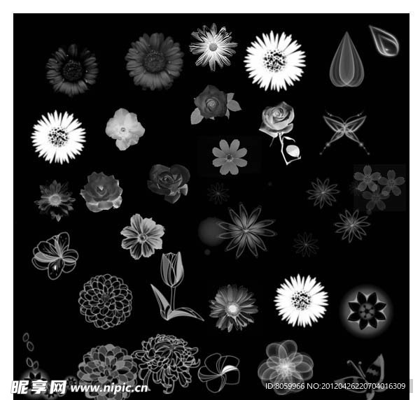 PS花朵笔刷