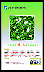 放飞理想