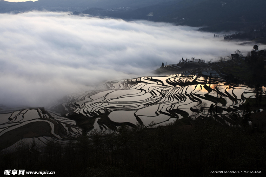 元阳梯田