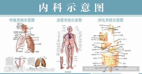 内科示意图