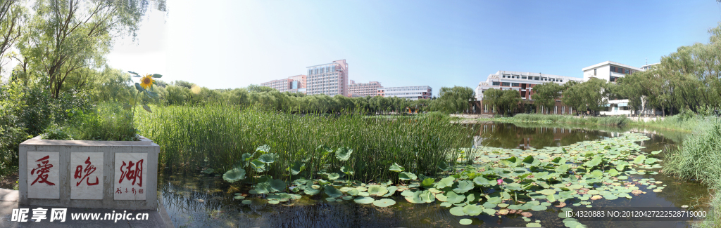 天津大学爱晚湖180度全景