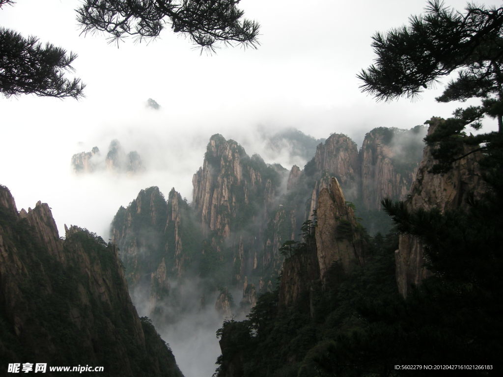黄山云雾