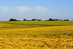 风景 户外 景色