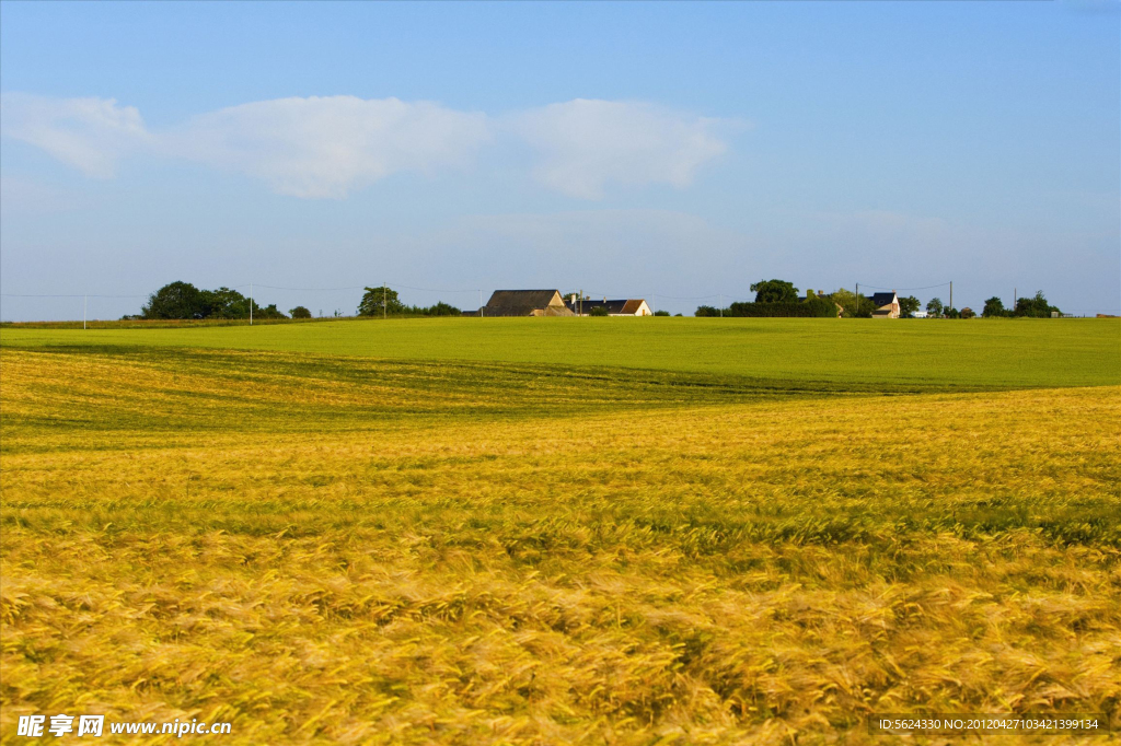 风景 户外 景色