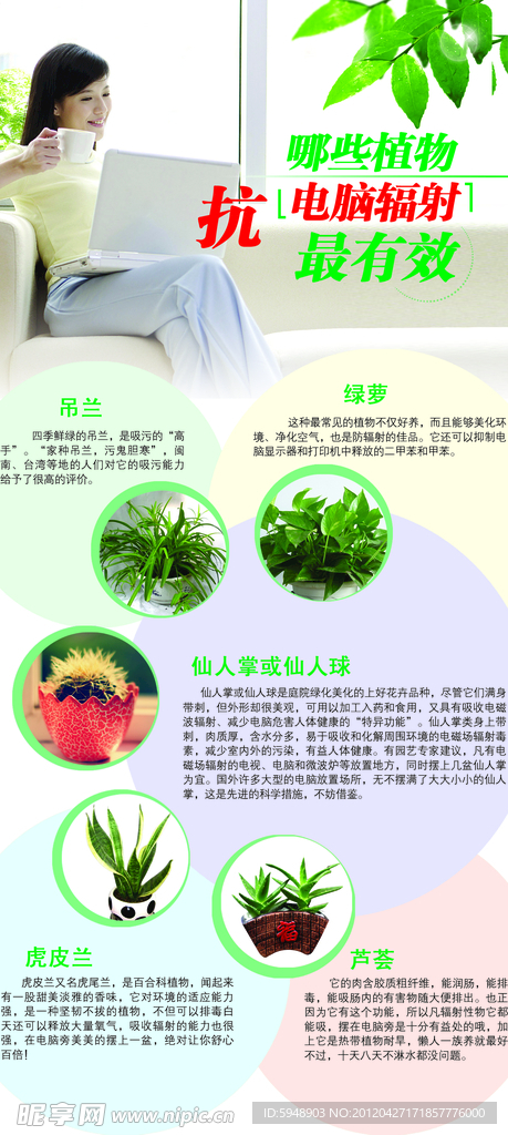 植物 抗电脑辐射