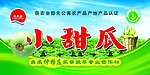 甜瓜标签