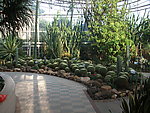 广州植物园