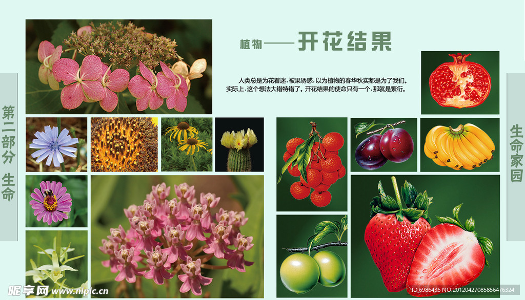学校展板设计
