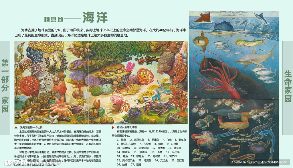 学校展板设计