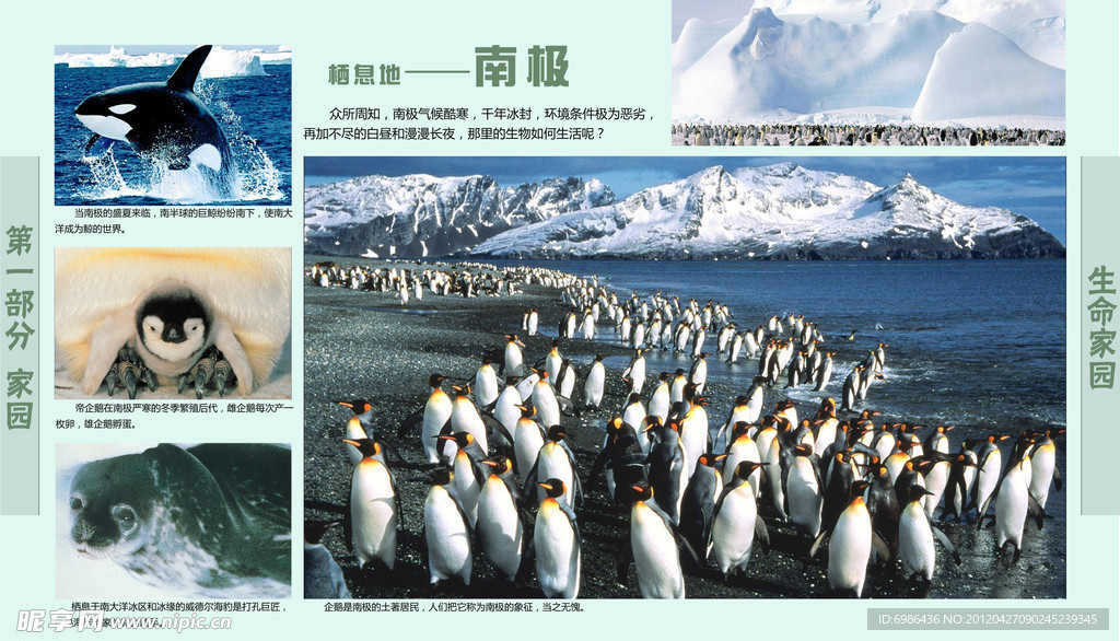 学校展板设计