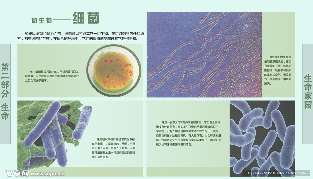 学校展板设计