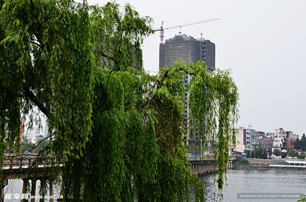 内河右岸