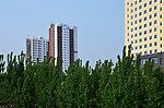 内河的新楼