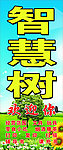 智慧树