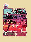 海滩 树木 文字 字母 晚霞