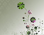 时尚花纹壁纸