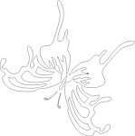 蝴蝶