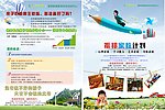 家庭教育DM宣传单