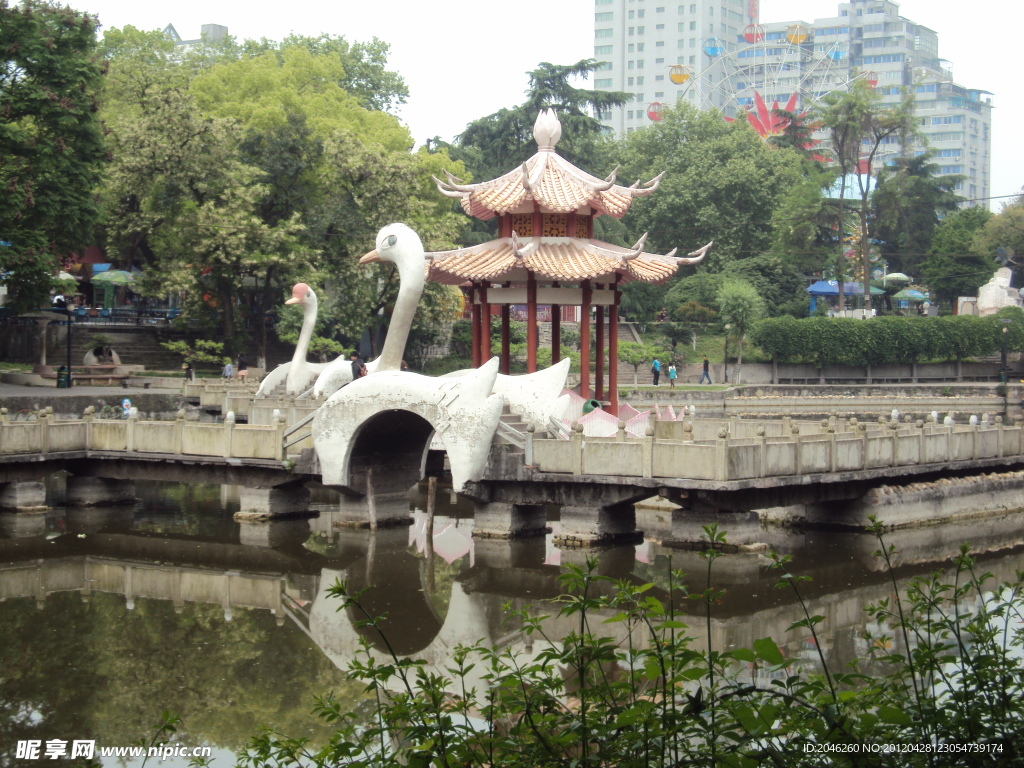 荷花池