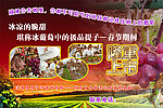 葡萄海报
