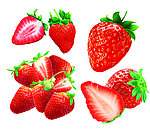 草莓大合集
