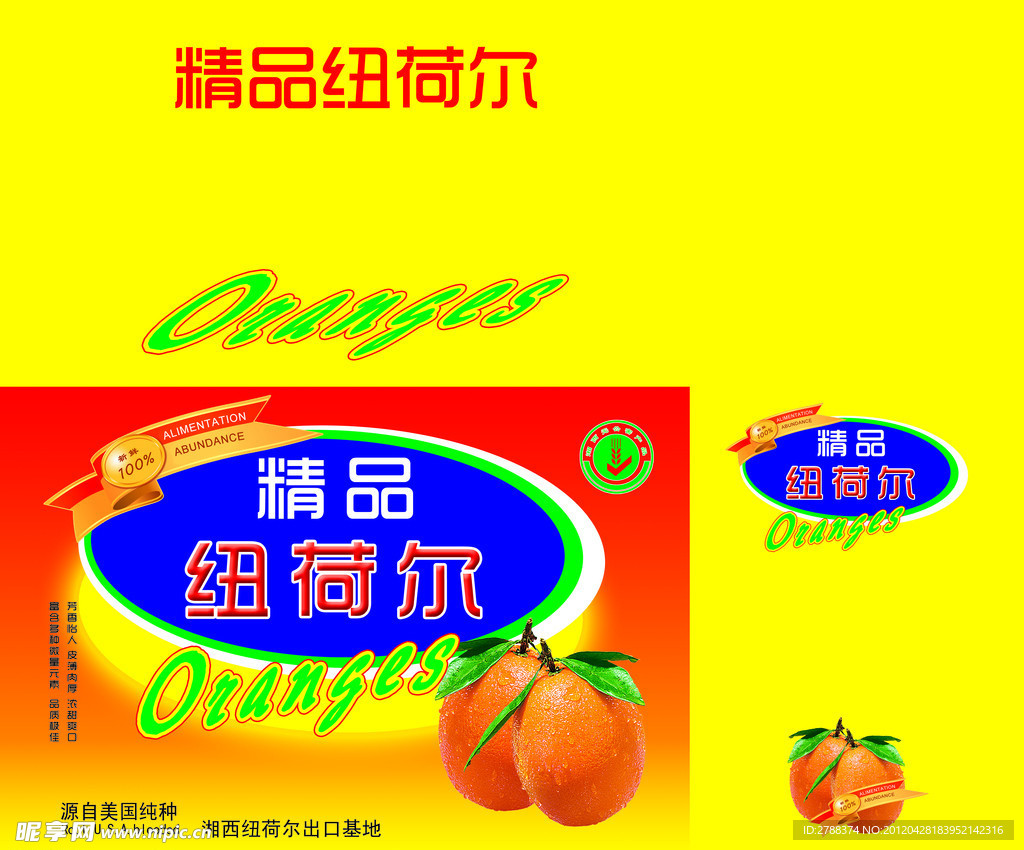 纽荷尔