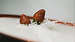 食物饮料
